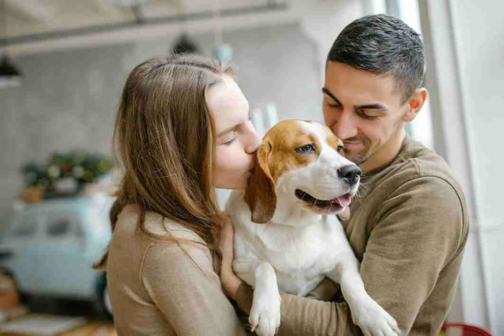 Only True Dog Lovers Can Pass This Ultimate Pup Quiz